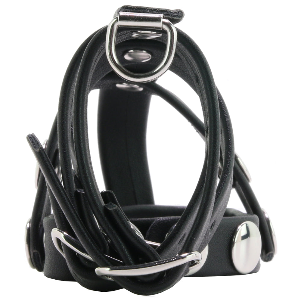 Blue Line Triple Cock and Ball Strap with Leash Lead - Image 2
