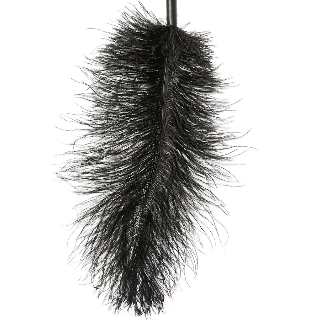Ostrich Feather Body Tickler in Black - Image 4
