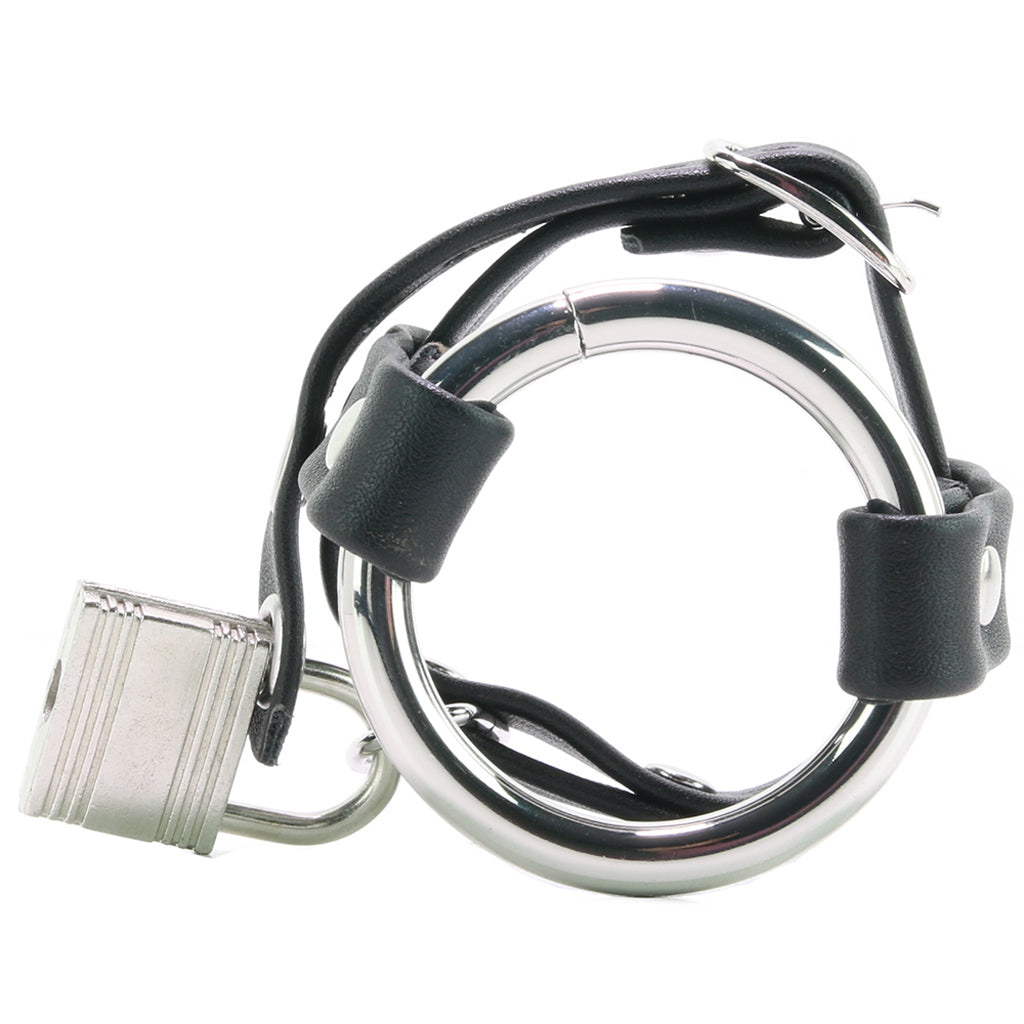 Metal Cock Ring with Locking Ball Strap - Image 2