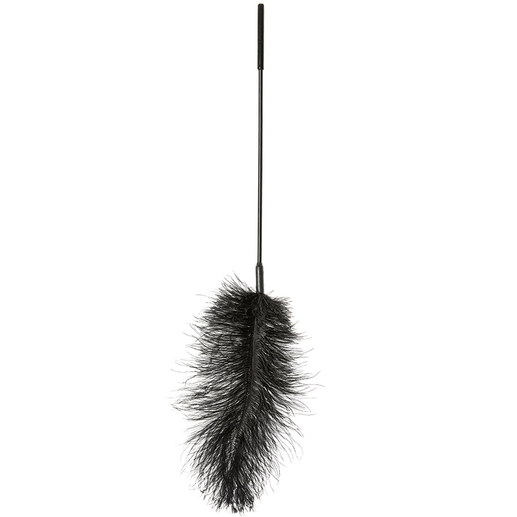 Ostrich Feather Body Tickler in Black - Image 2