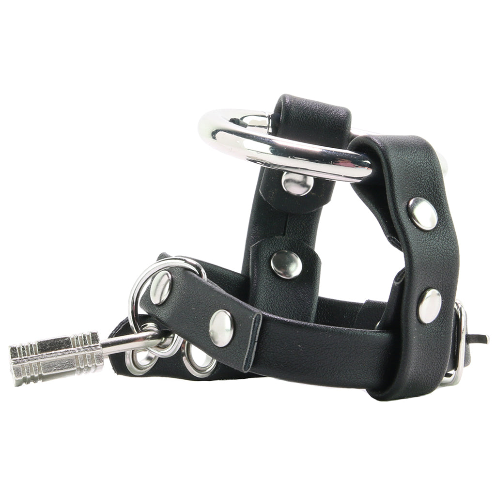 Metal Cock Ring with Locking Ball Strap - Image 5