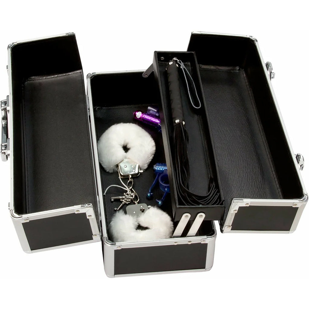 Simple and True Lockable Large Vibrator Case in Black - Image 2